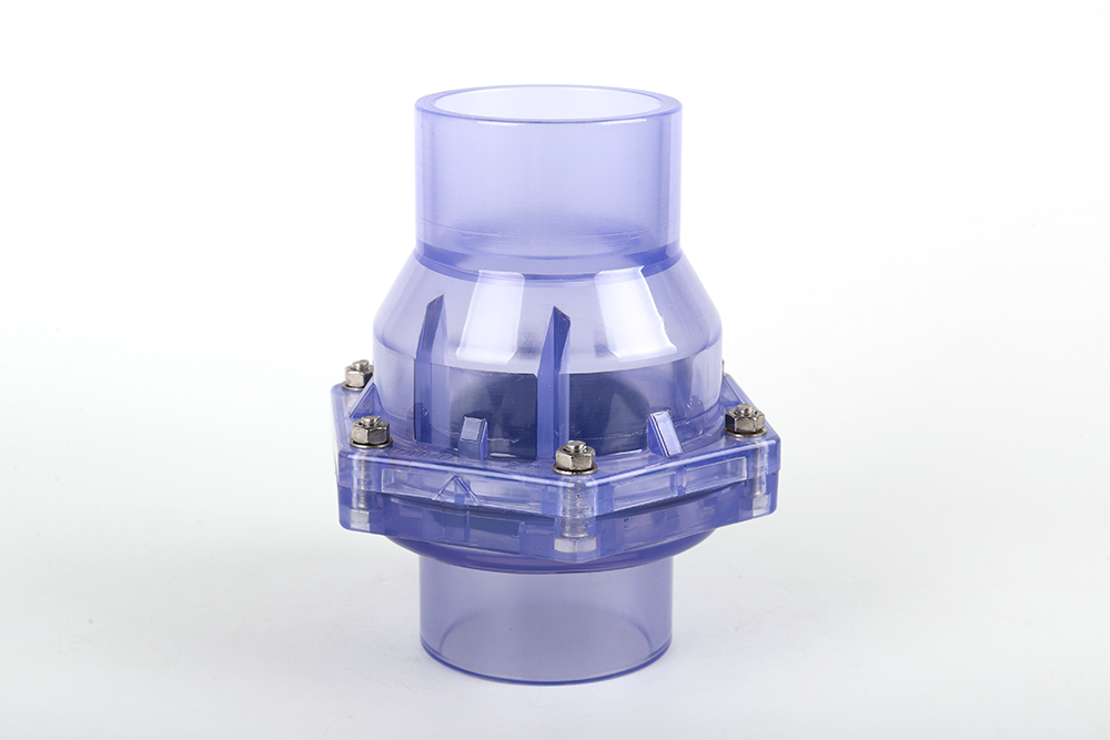 新兴镇透明翻板式止回阀